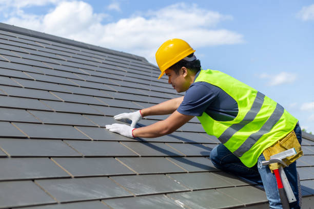 Best Roof Insulation Installation  in Lewisburg, PA