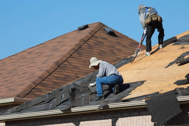 Best Solar Panel Roofing Installation  in Lewisburg, PA